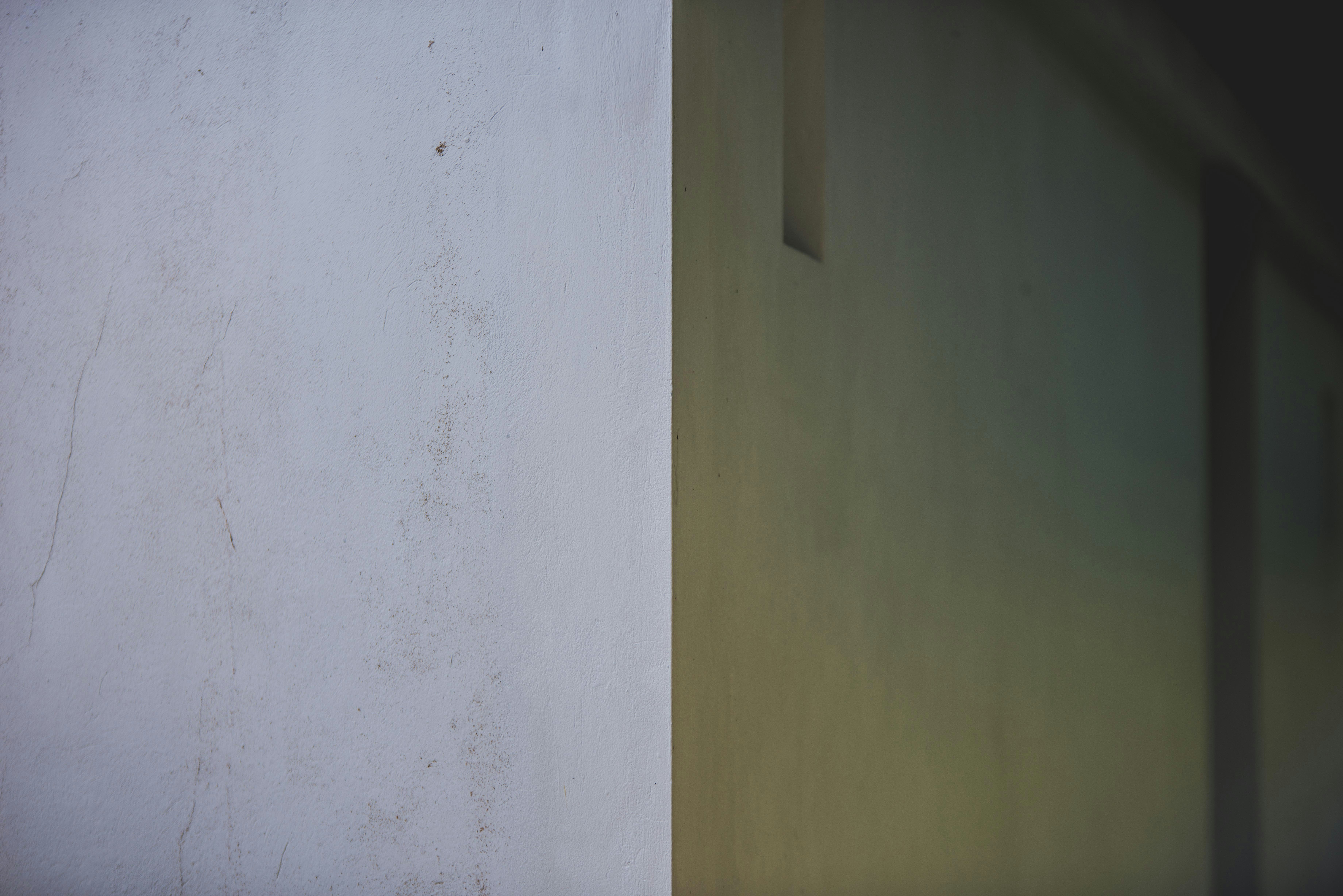 a wall with a green door