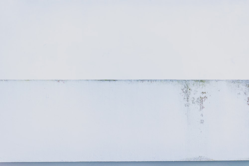 a body of water with a reflection of a tree in it