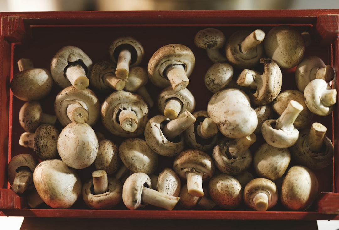 a box filled with different kinds of donuts, fresh mushrooms