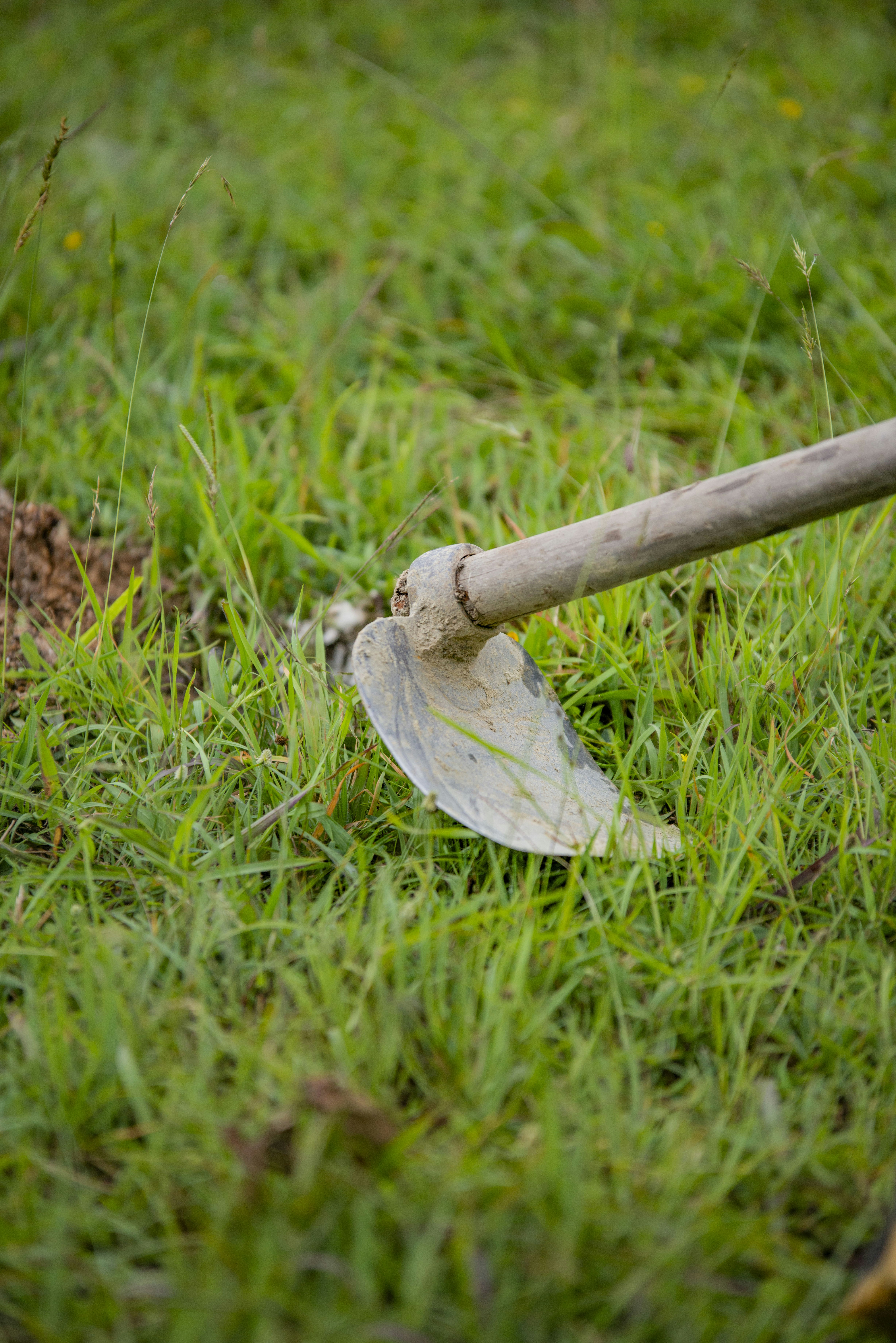 Going Through Your 'Hoe Phase'