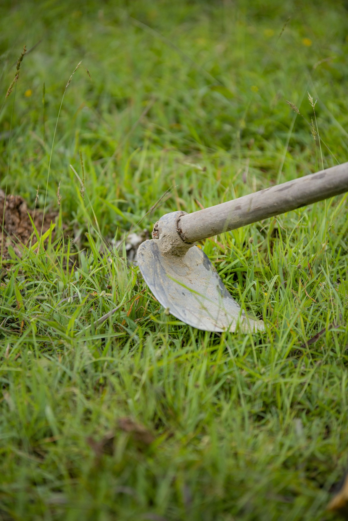 Weeding and edging image background image