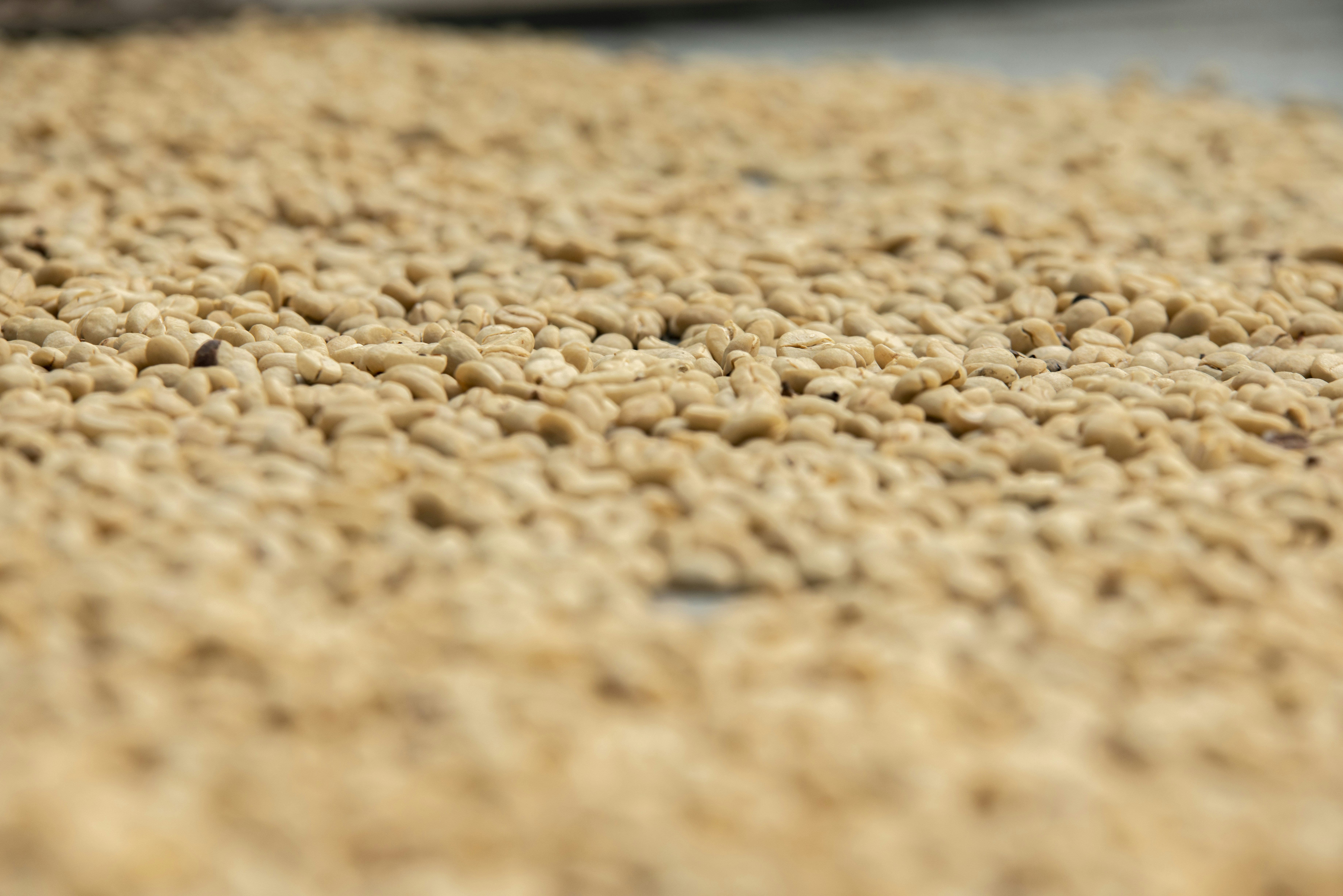 Granulated Drupe