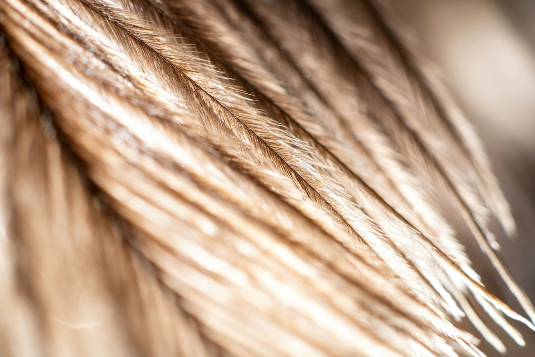professional hair dryer closeup