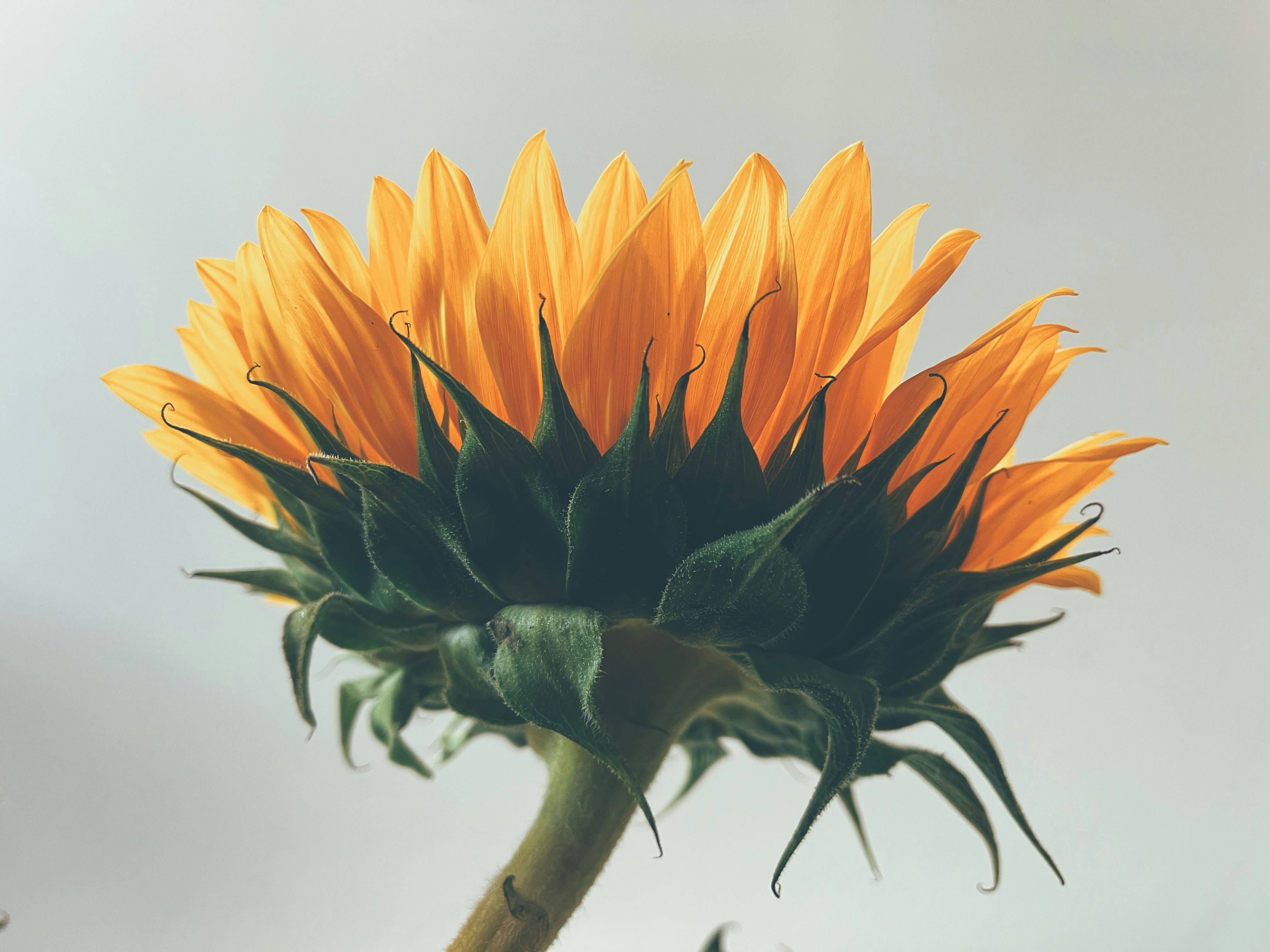 Photo by marsha_reid