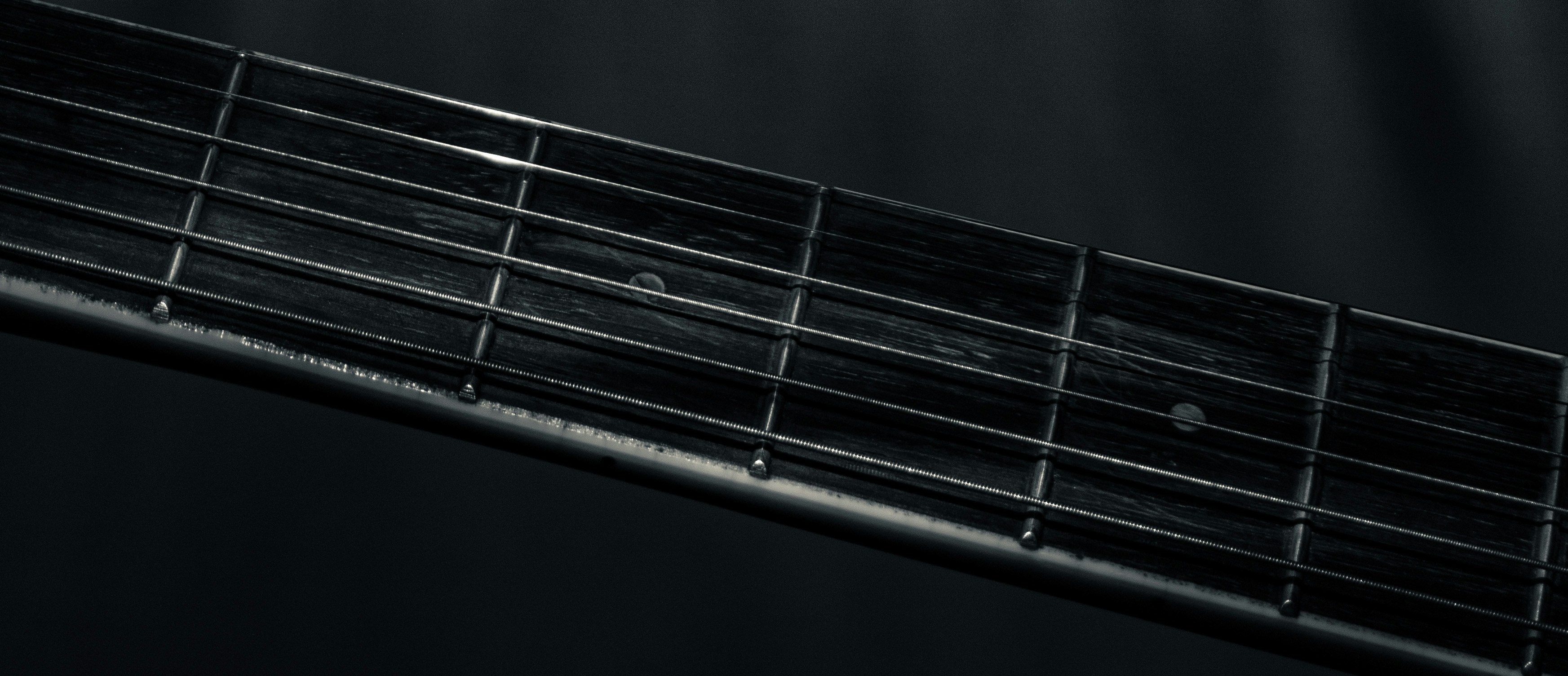 a black and white photo of a guitar