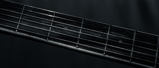 a black and white photo of a guitar