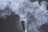A close-up of a brush dispersing fine white powder into the air, creating a cloud of particles that swirl and float against a dark background. The texture and movement of the powder are captured with intricate detail.
