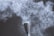 A close-up of a brush dispersing fine white powder into the air, creating a cloud of particles that swirl and float against a dark background. The texture and movement of the powder are captured with intricate detail.