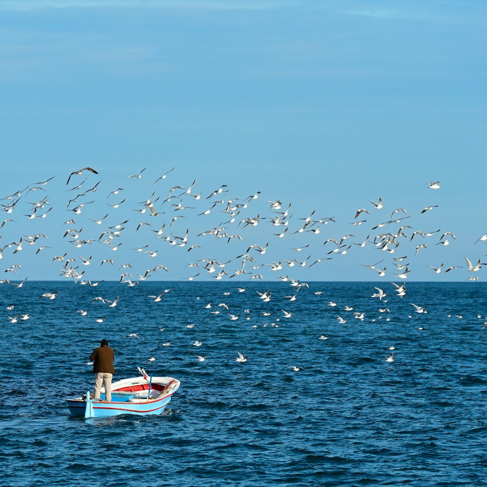 a person on a boat with a flock of birds flying over him