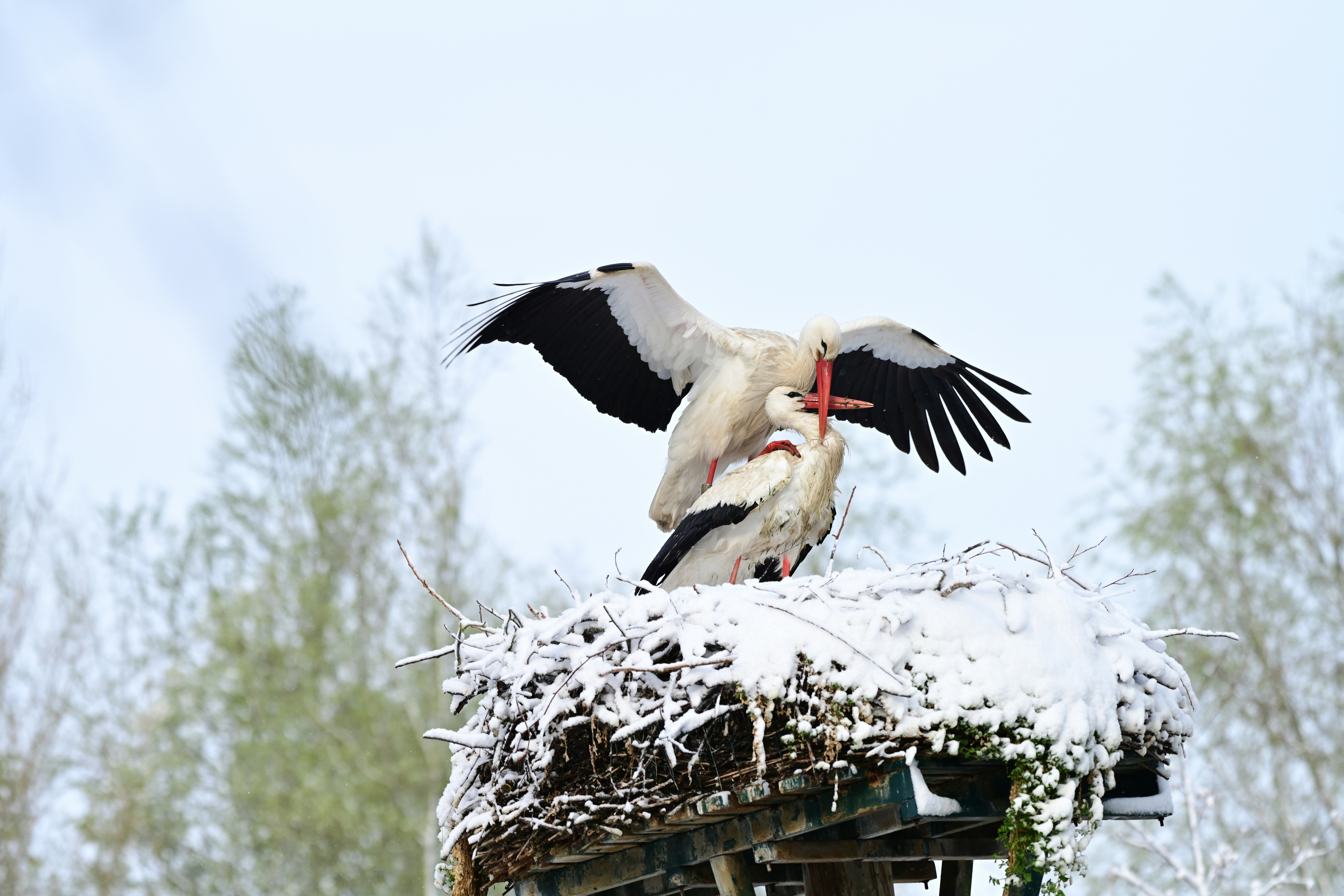 Afbeelding van Nieuwegein