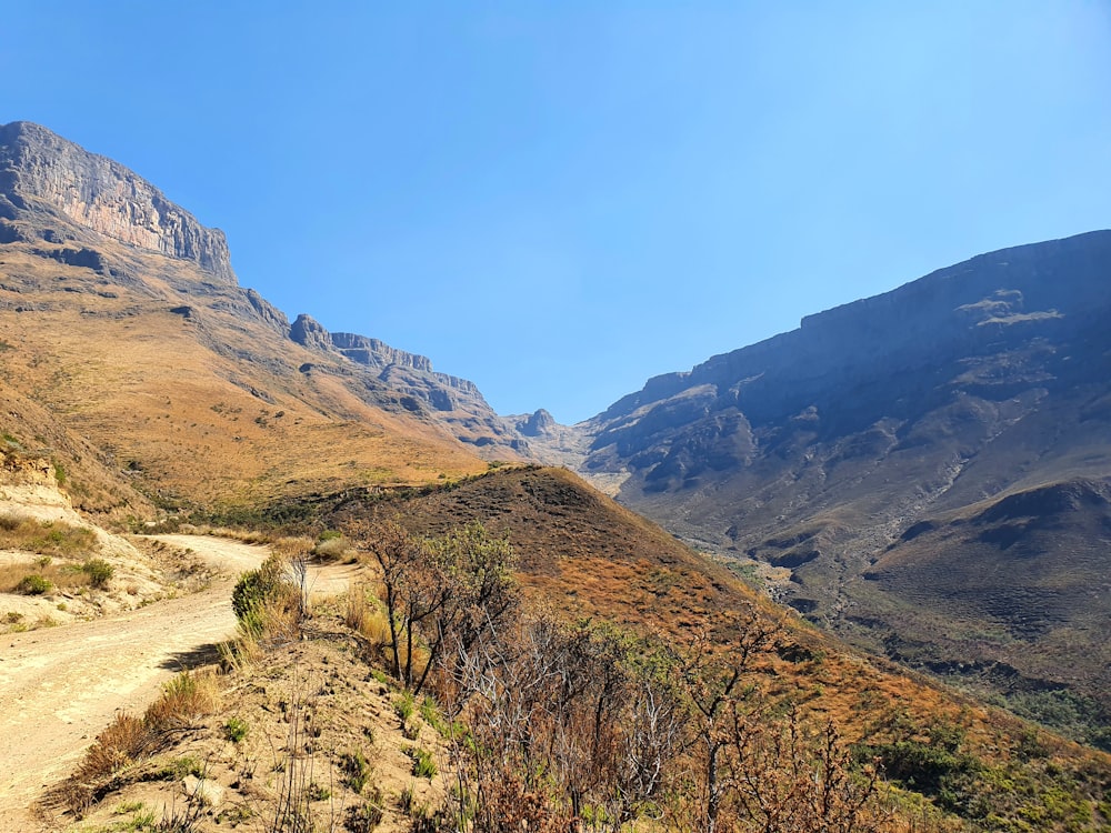 Une vallée entre montagnes