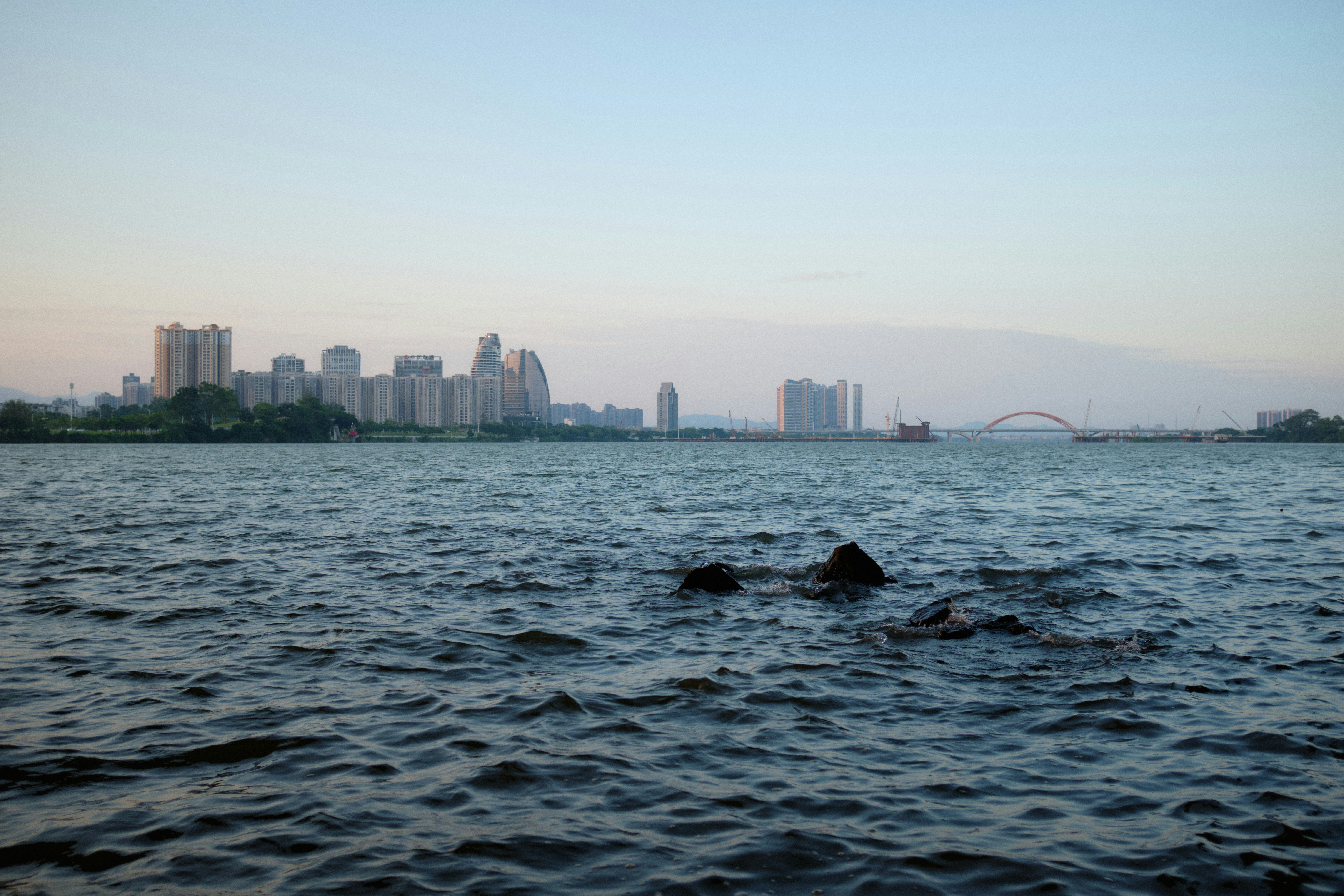 a body of water with a city in the background