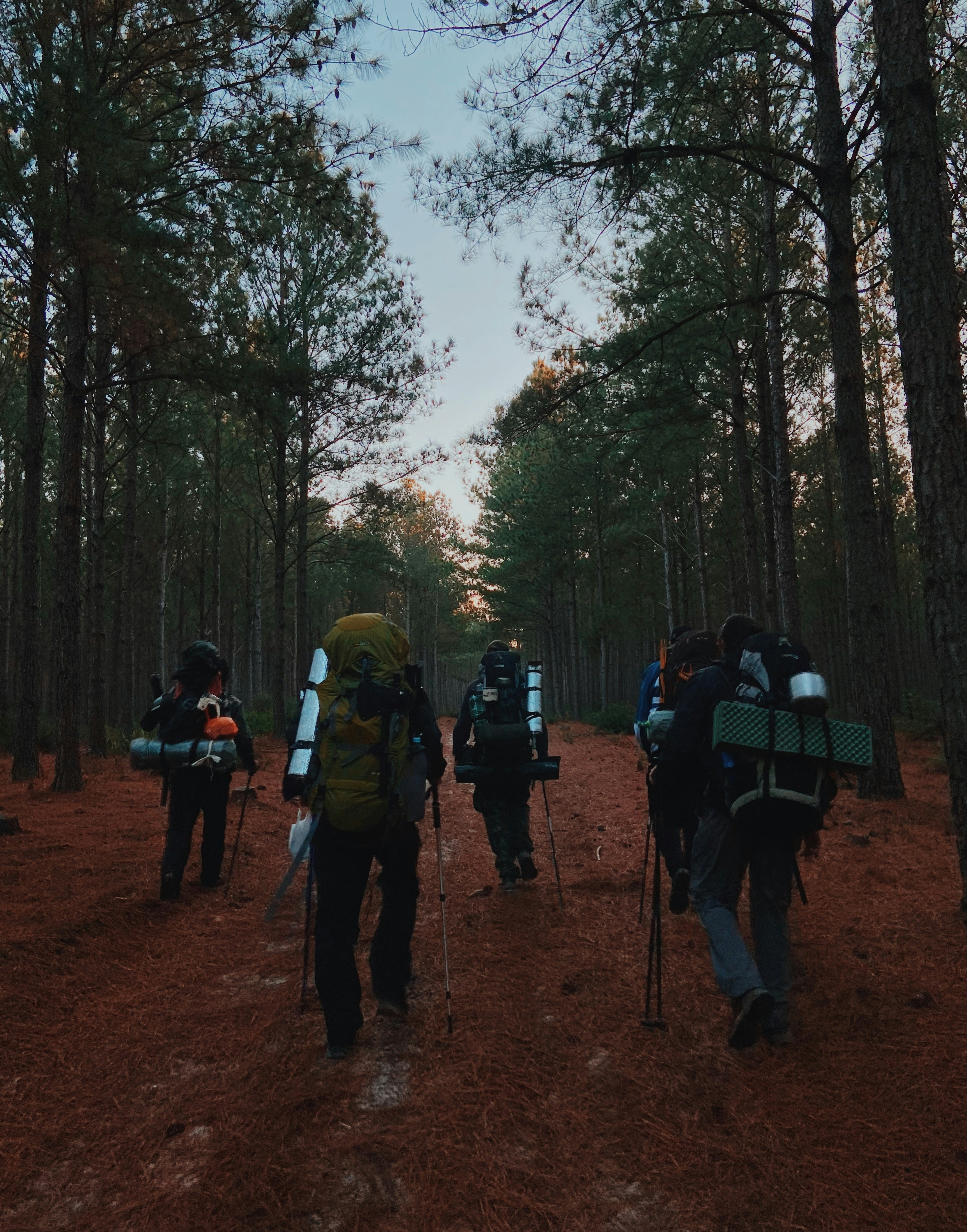 a group of people with cameras on a dirt path in the woods