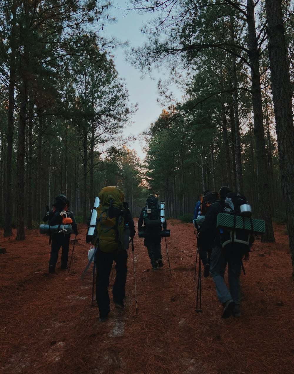 a group of people with cameras on a dirt path in the woods