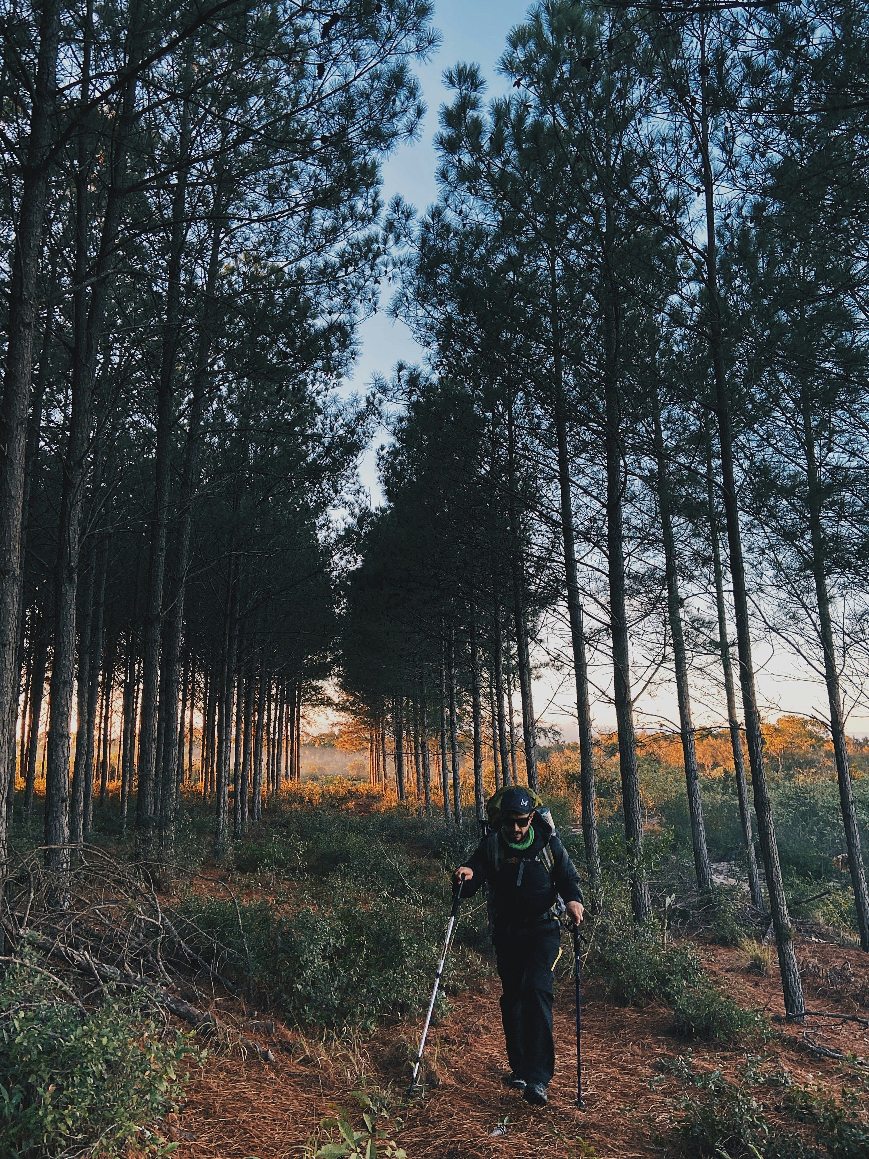 a person with a helmet and poles walking on a trail in the woods