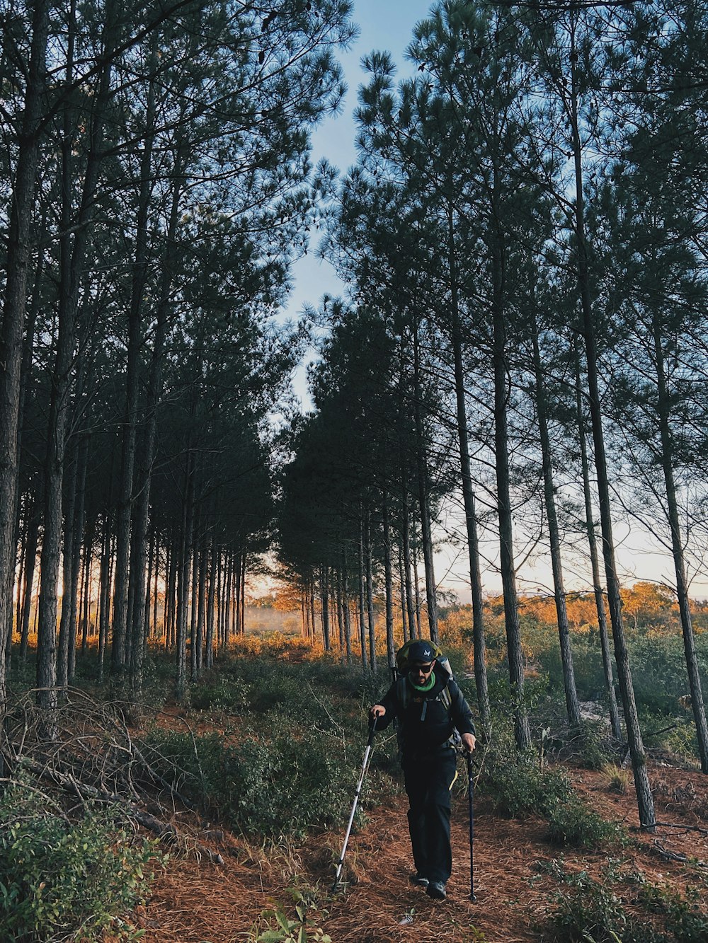 a person with a helmet and poles walking on a trail in the woods