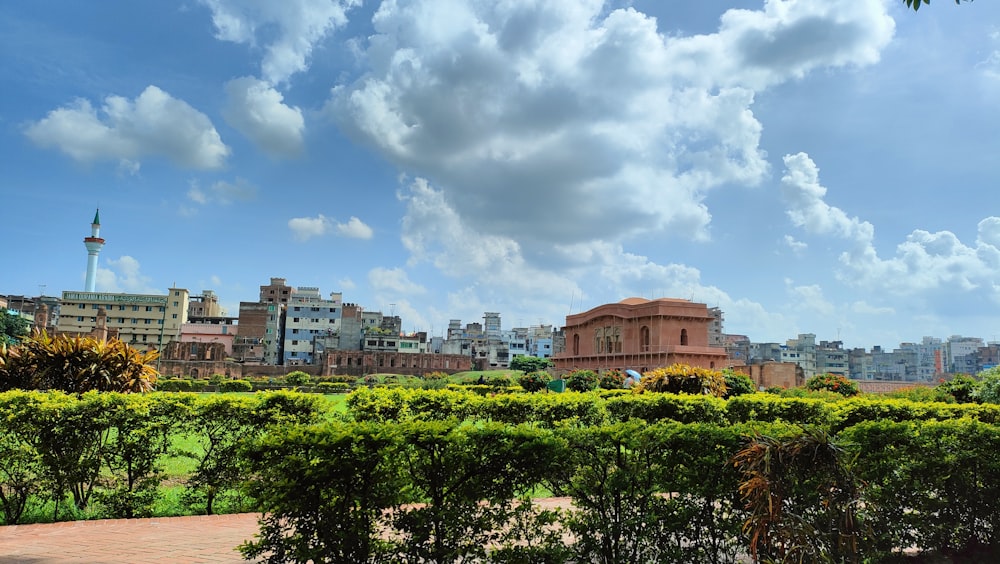 a city with trees and buildings