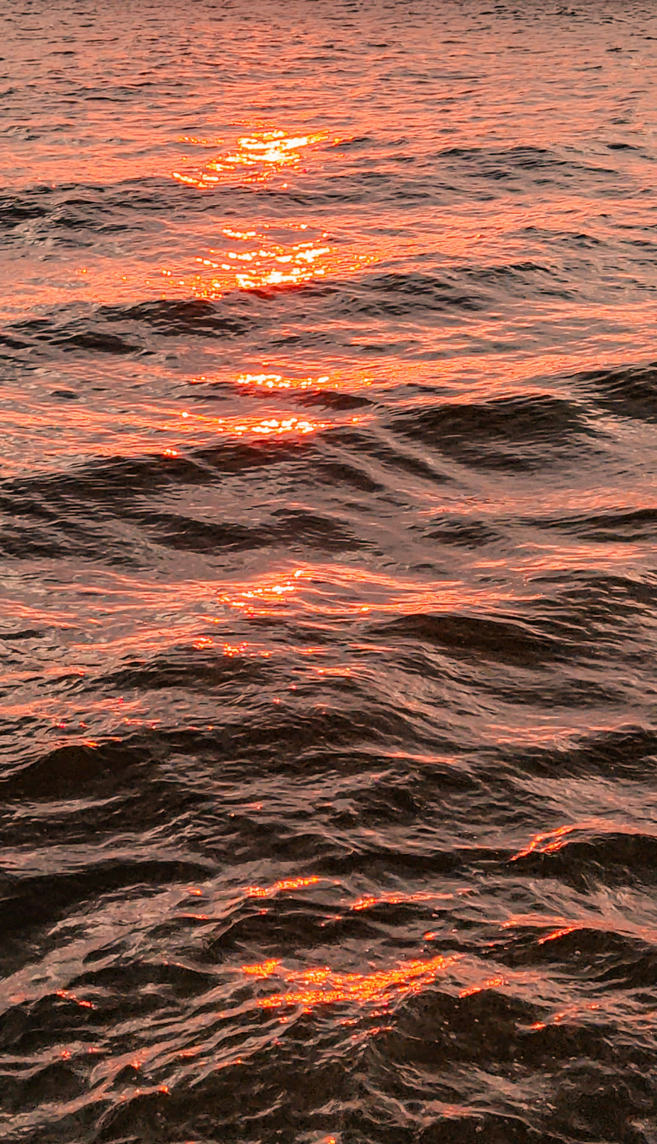 Photo by thesoulfisher