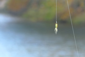 A fishing lure hanging from a thin fishing line against a blurred background of water and foliage.