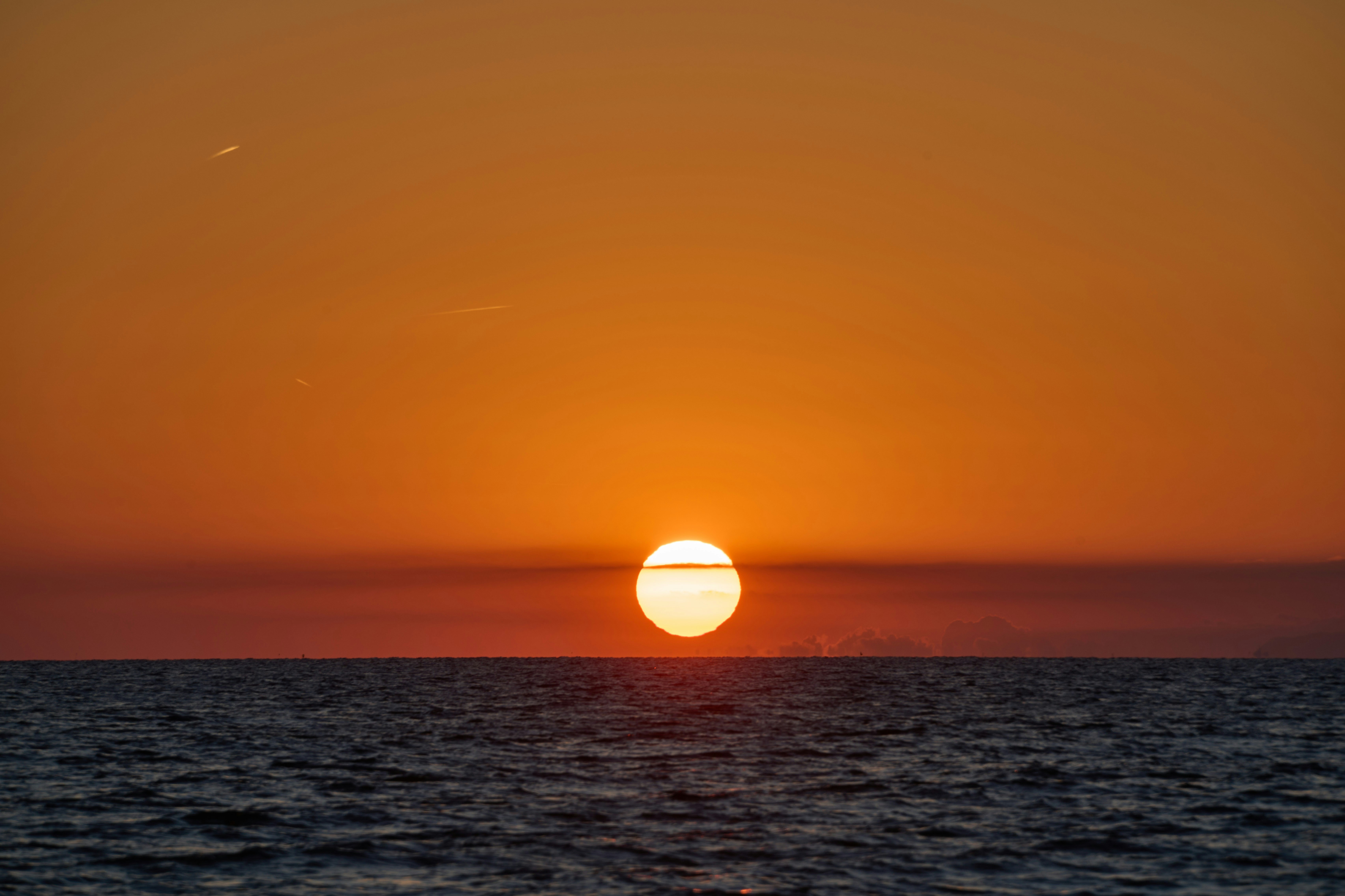 Photo by wolfgang_hasselmann