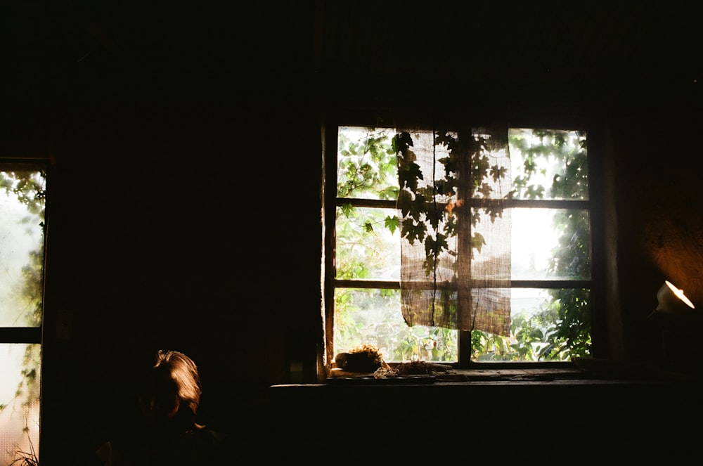 a window with a tree outside