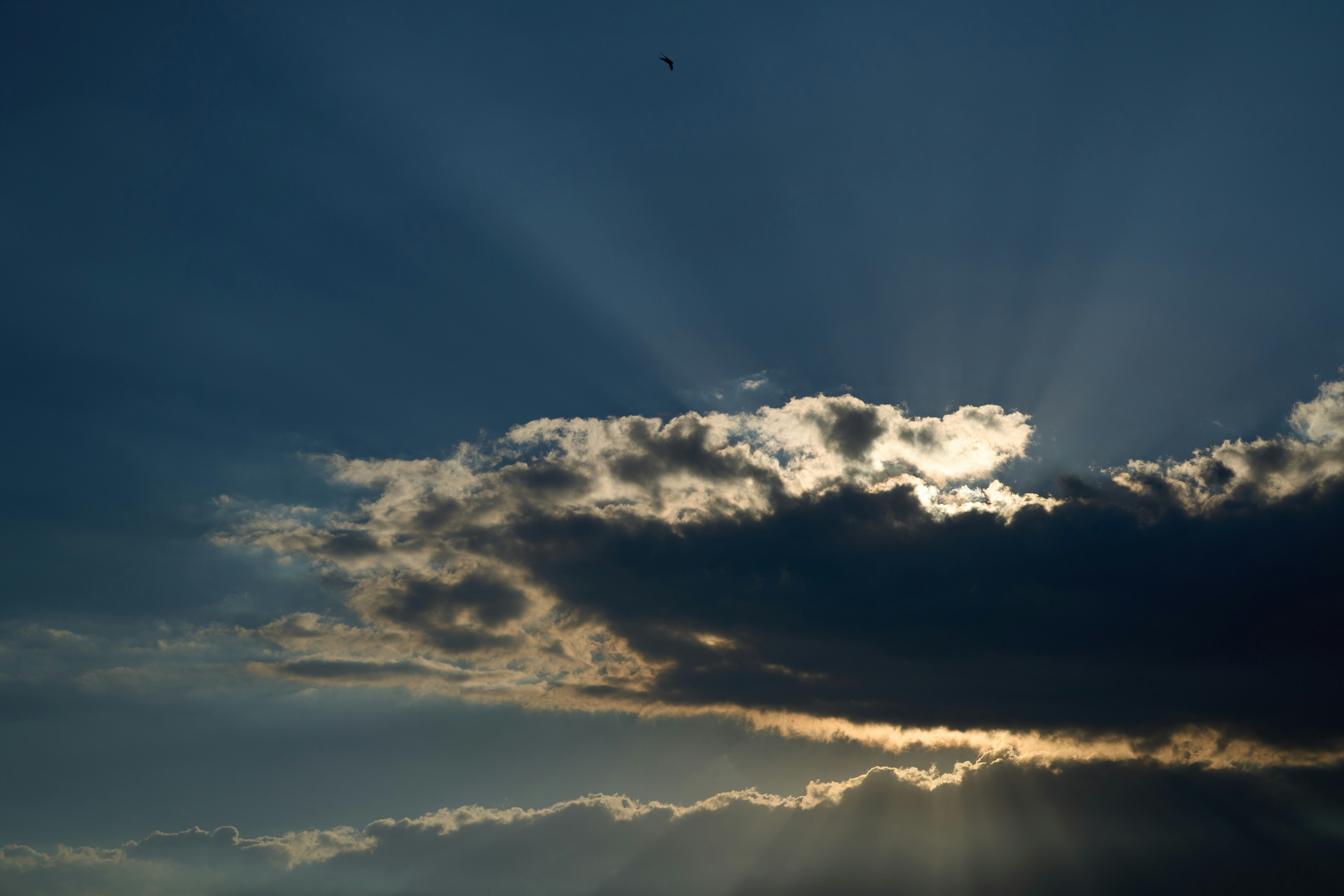 Photo by wolfgang_hasselmann