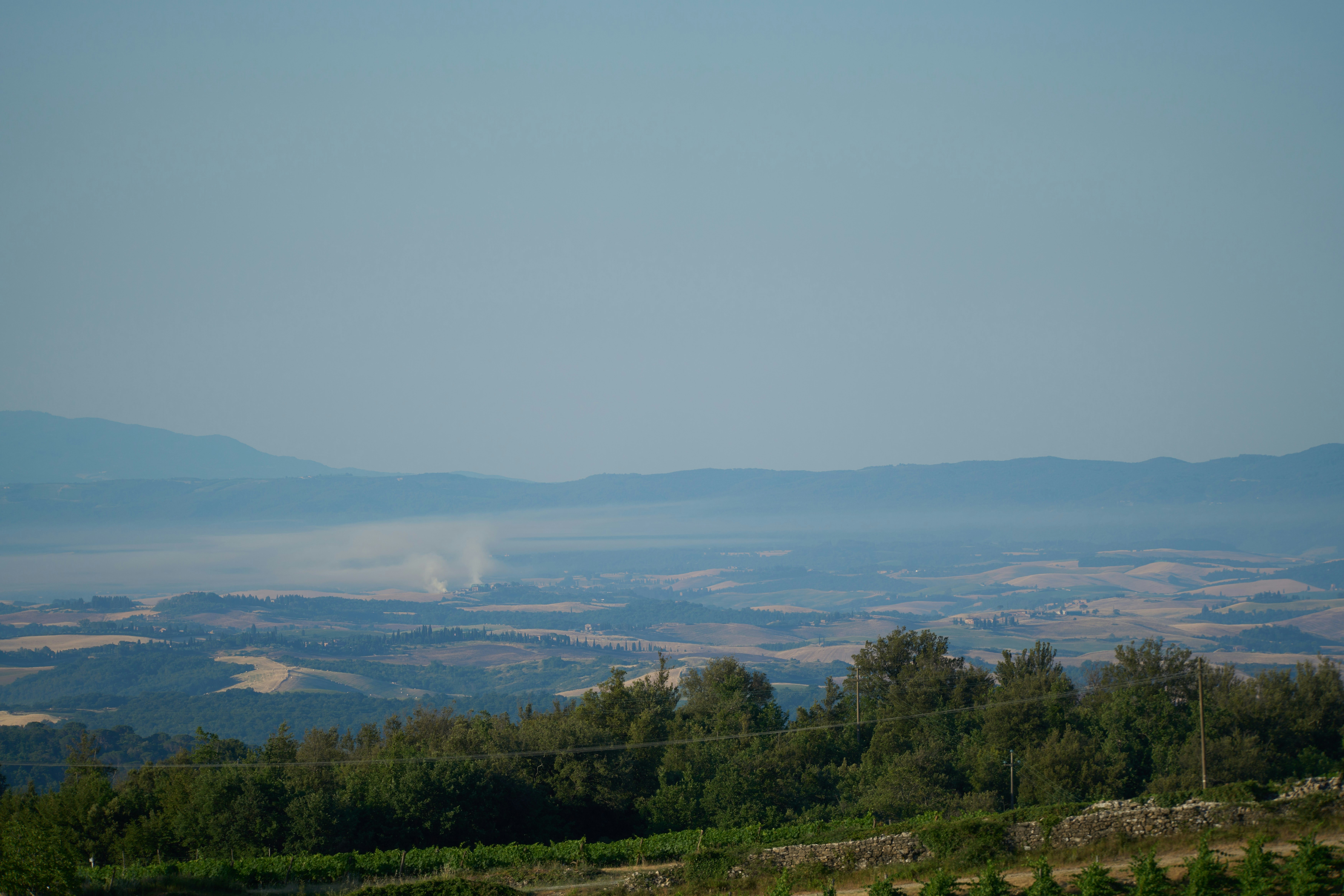 Photo by wolfgang_hasselmann