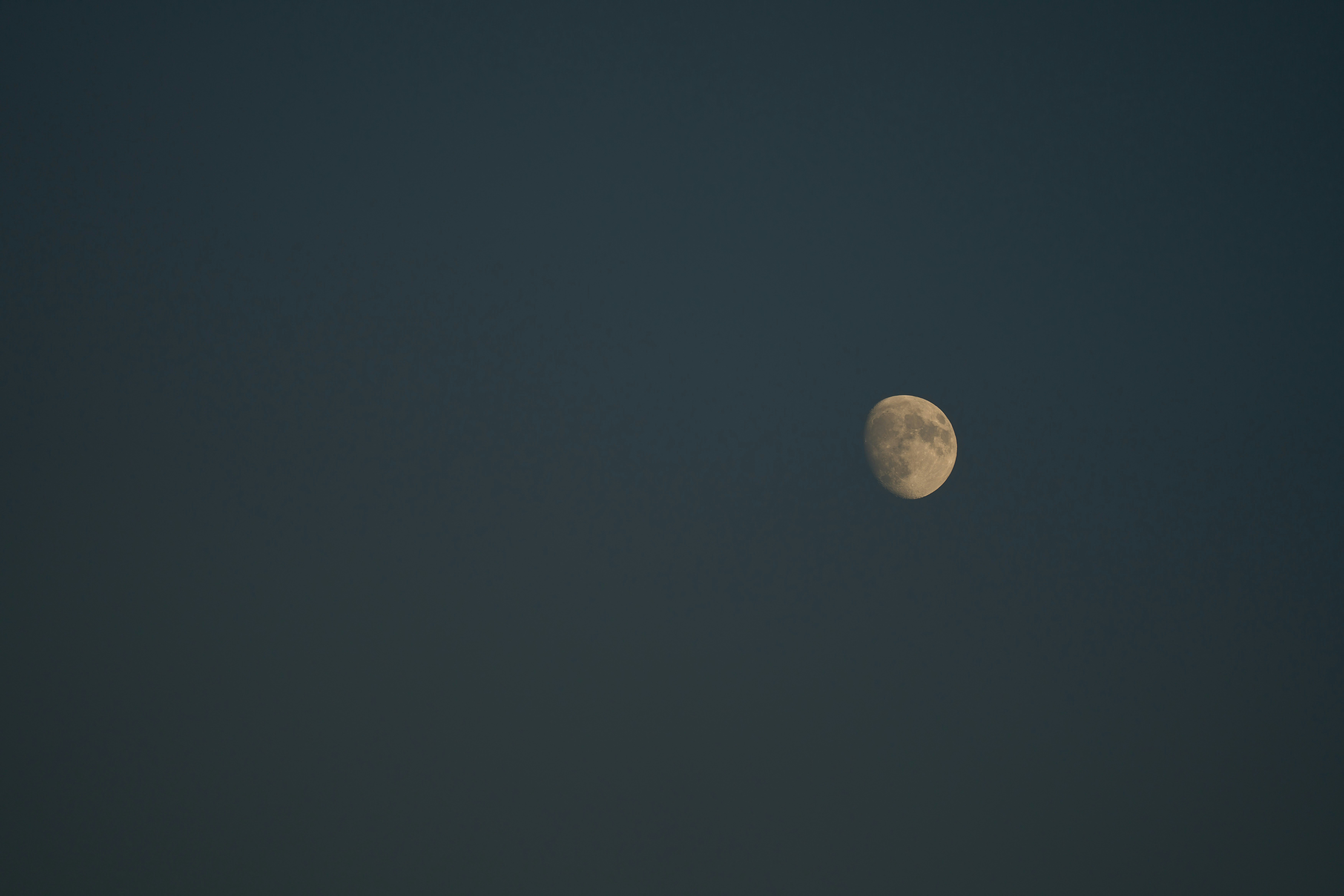 Photo by wolfgang_hasselmann