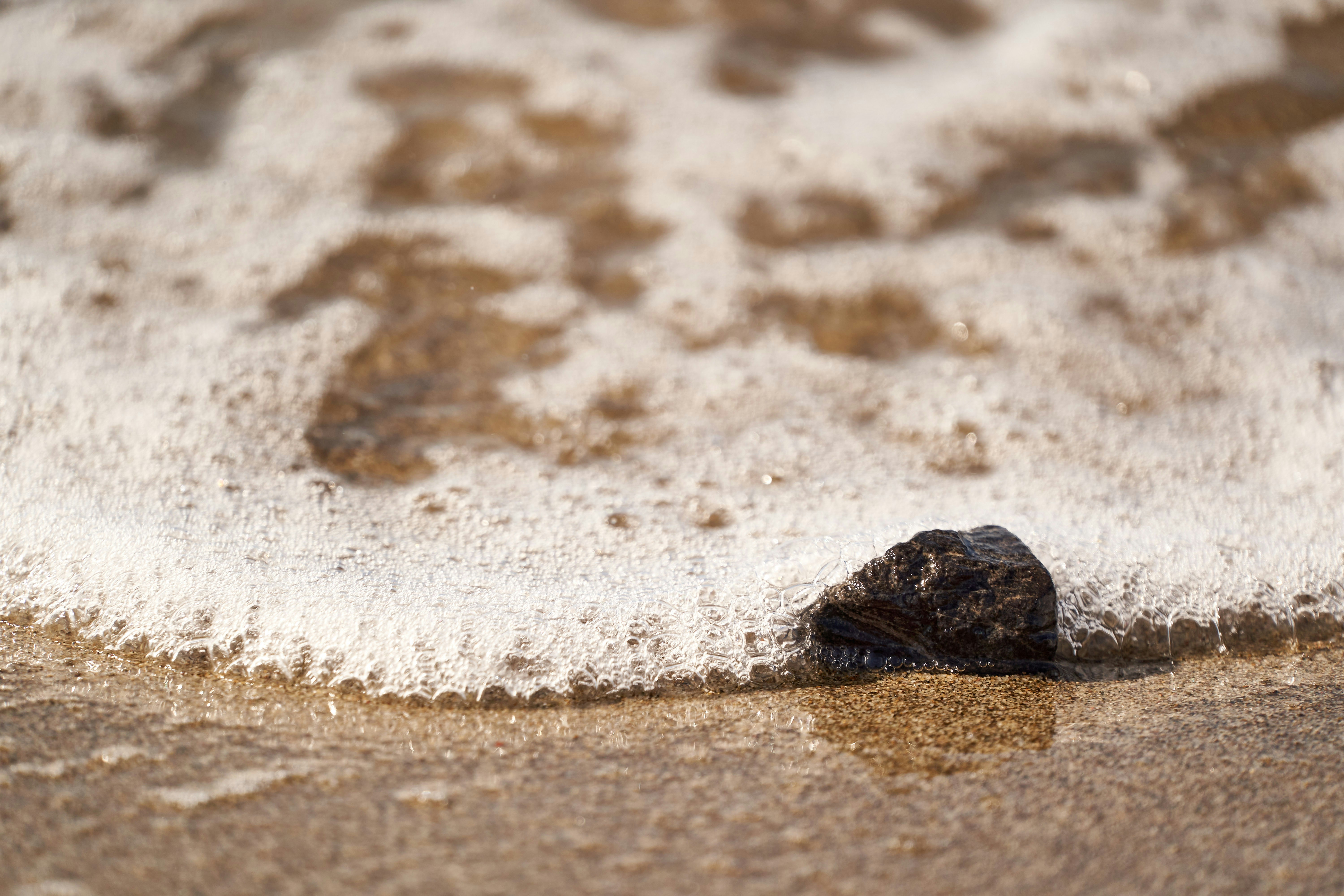 Photo by wolfgang_hasselmann