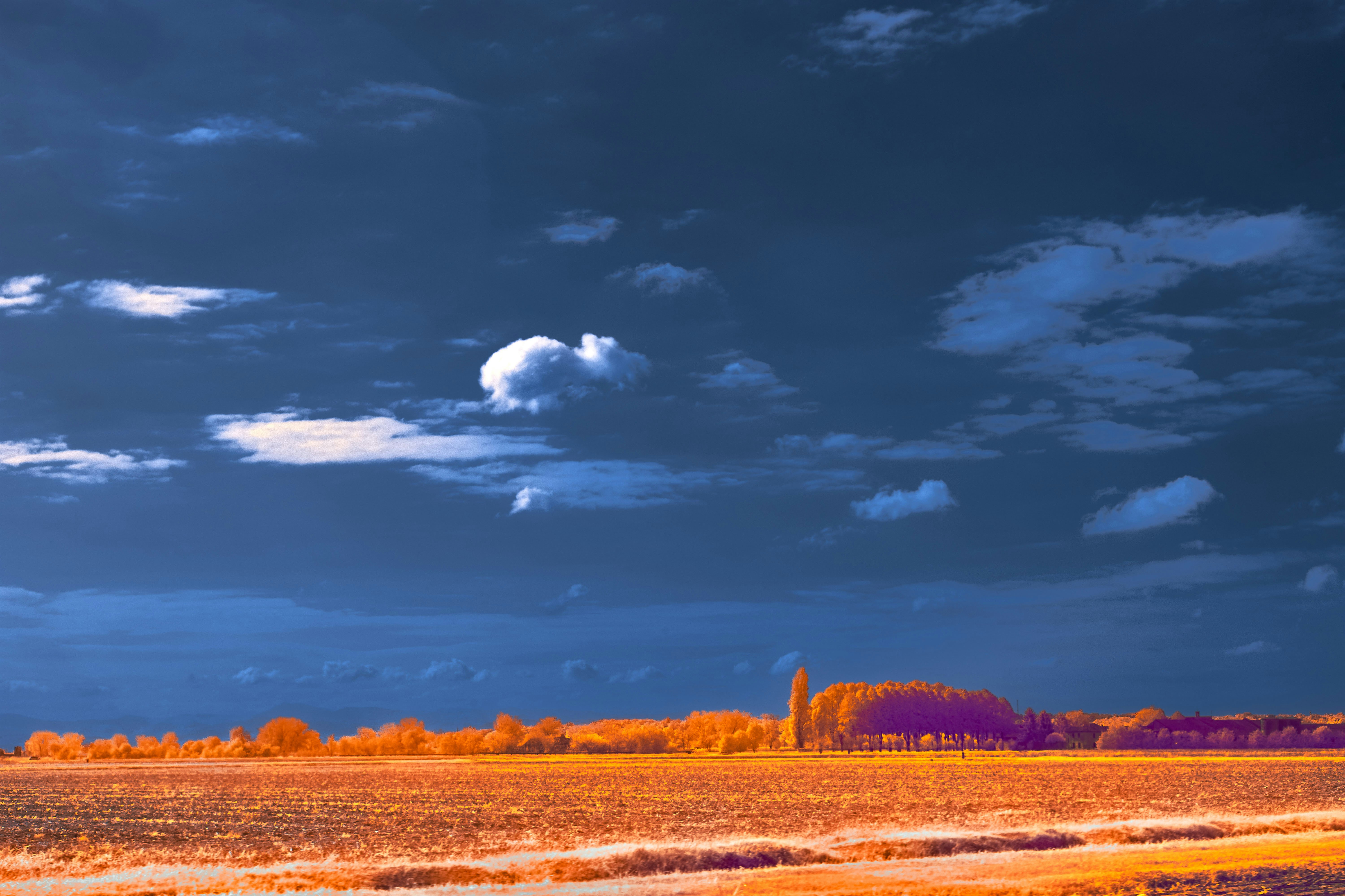 Photo by wolfgang_hasselmann