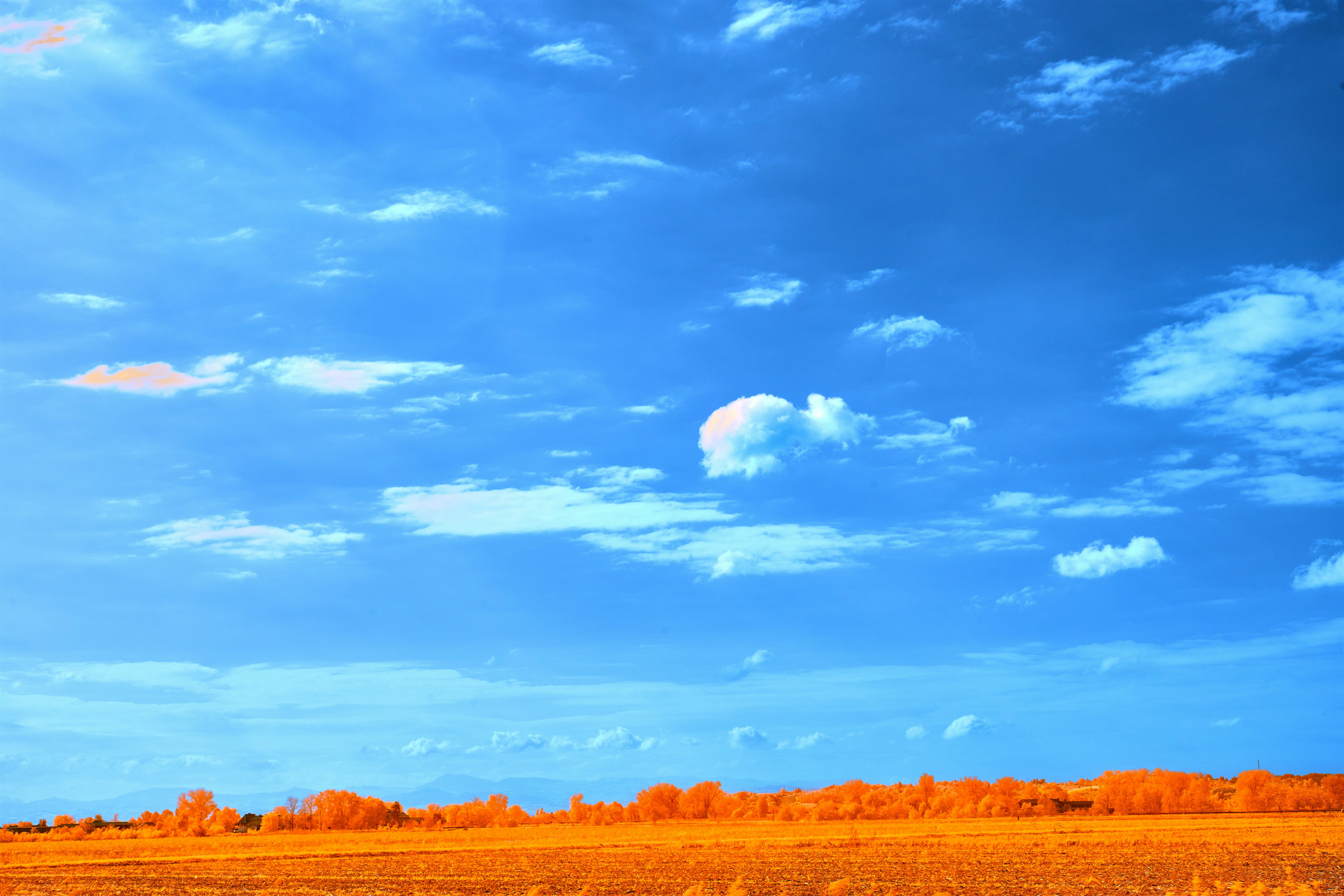 Photo by wolfgang_hasselmann