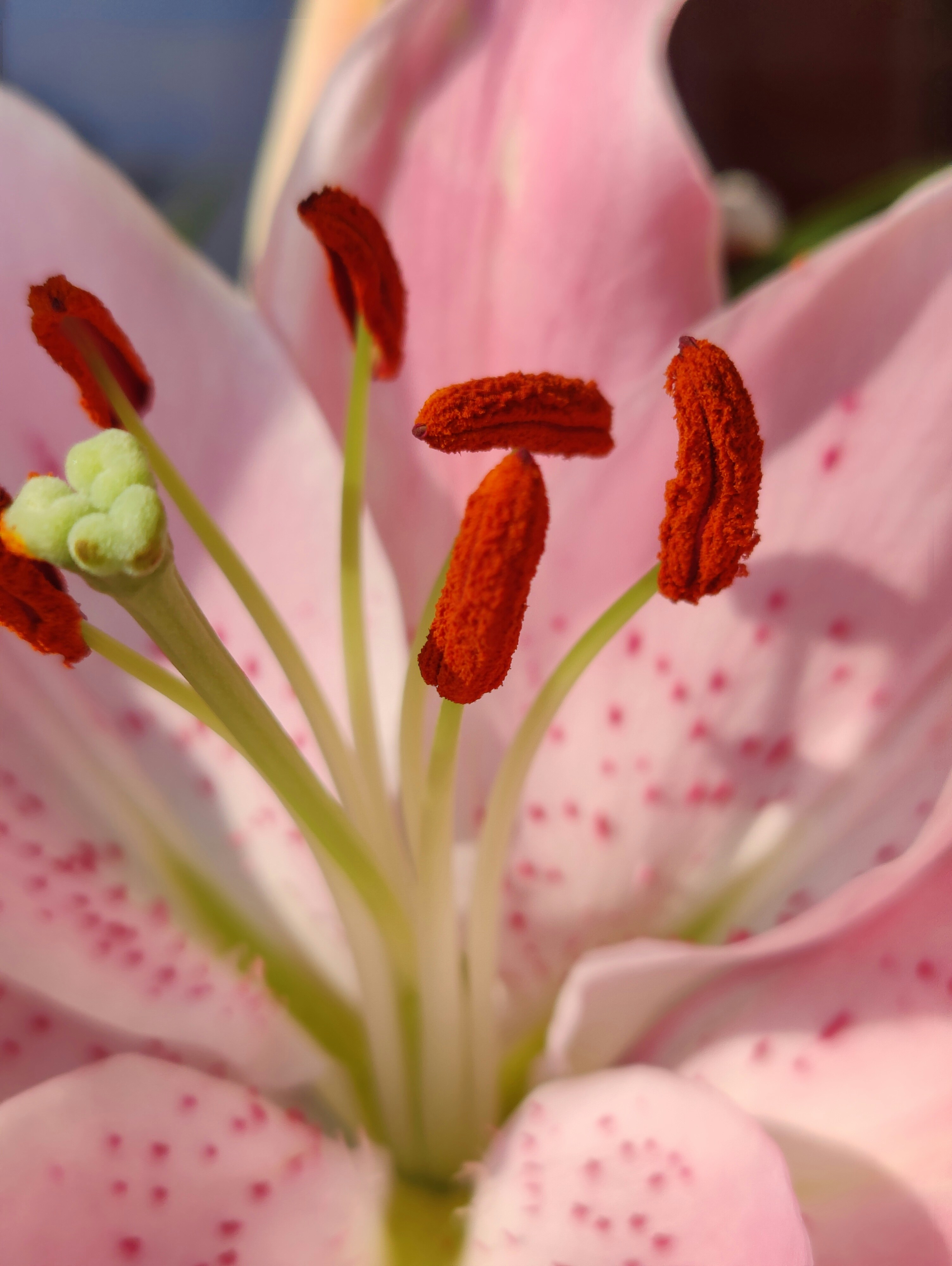 Photo by madmartigand