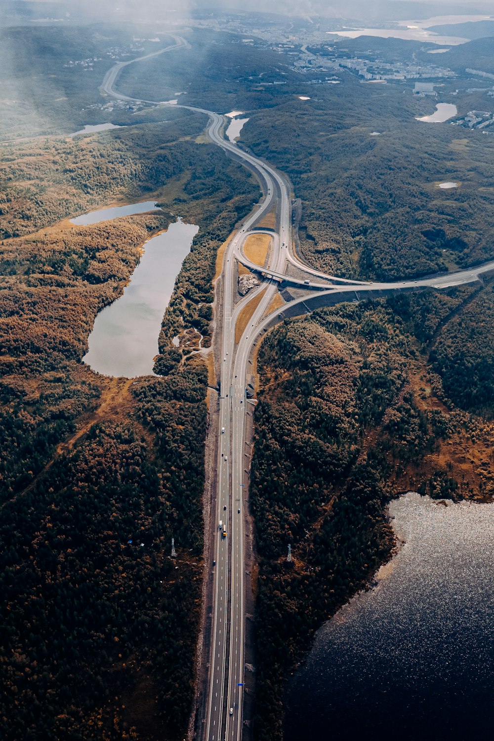 a river flowing through a forest