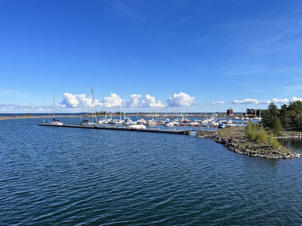 a group of boats in a harbor