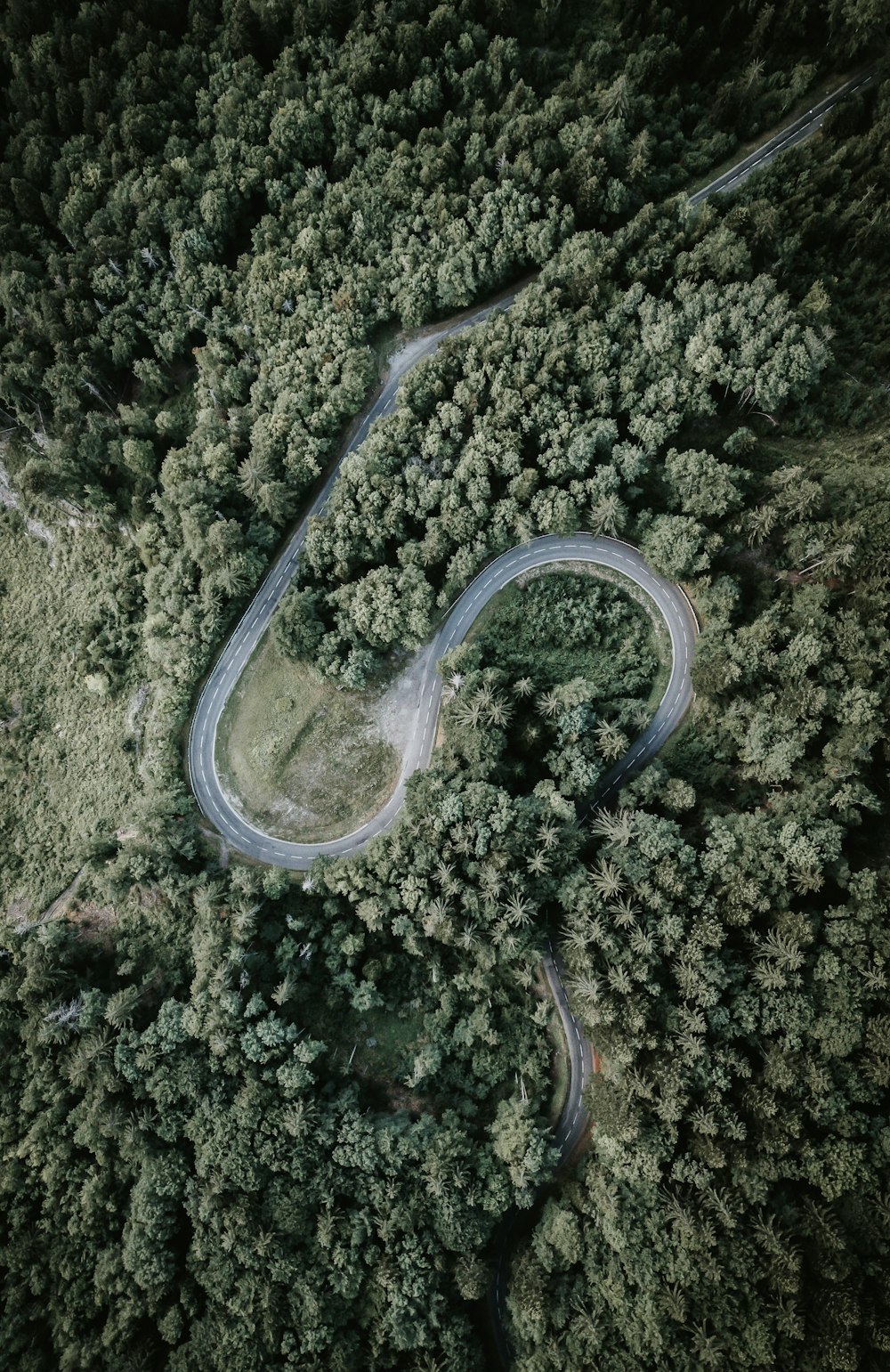 a winding road through a forest