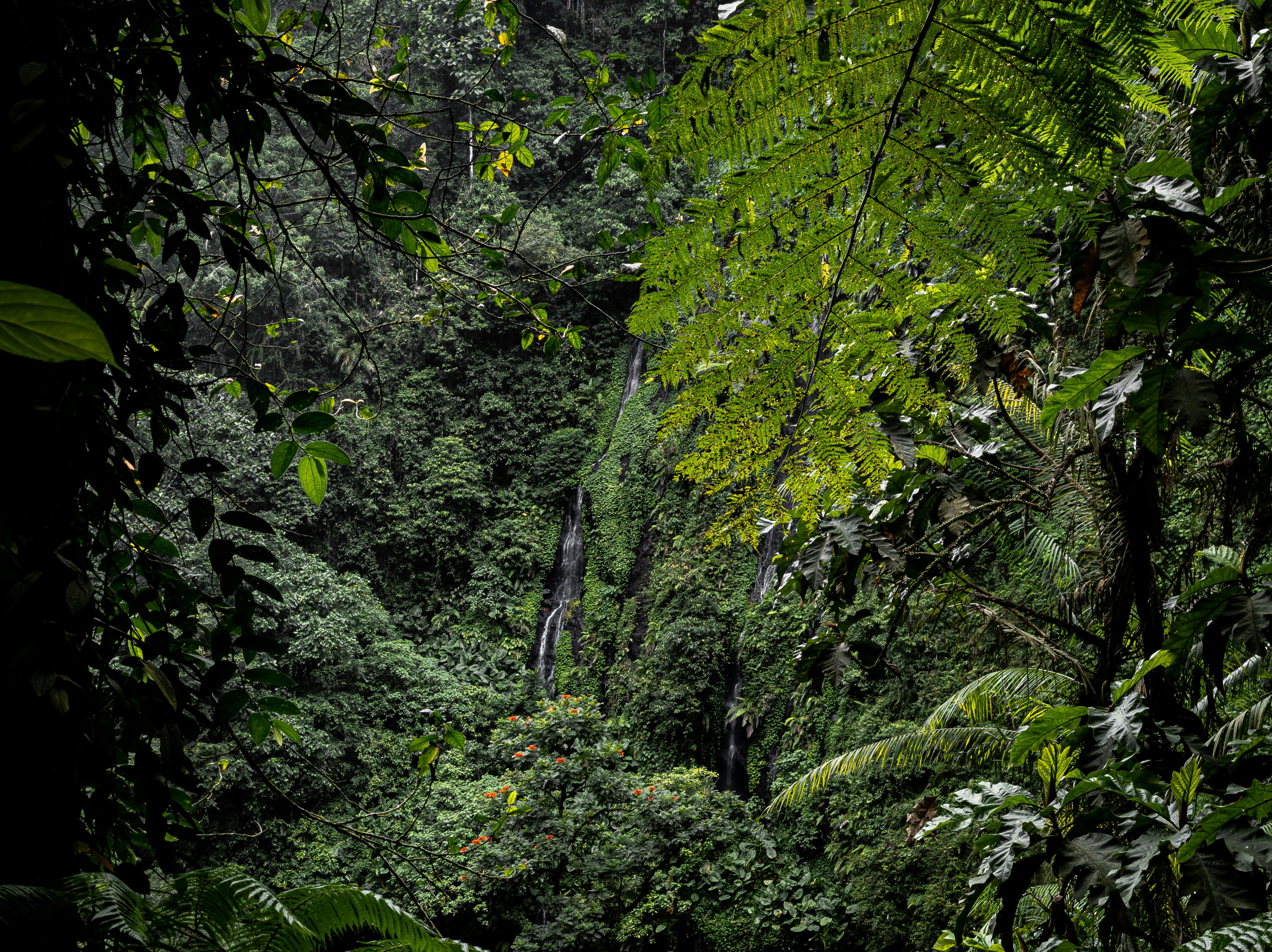 Photo by auinirosenfeld