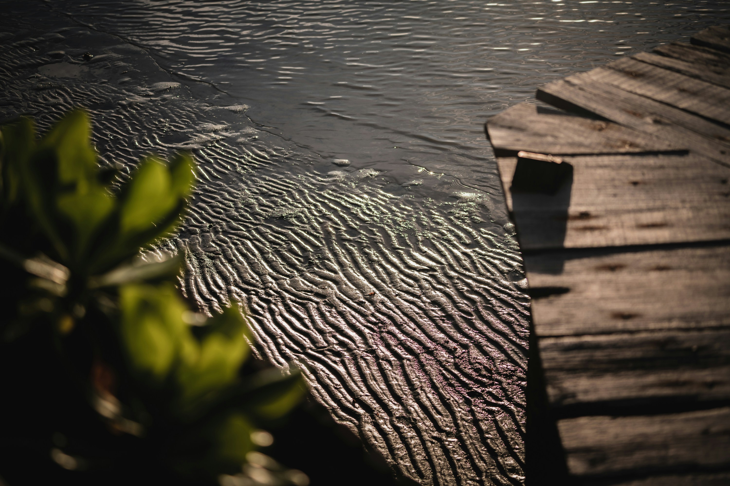 a spider web on a wood deck
