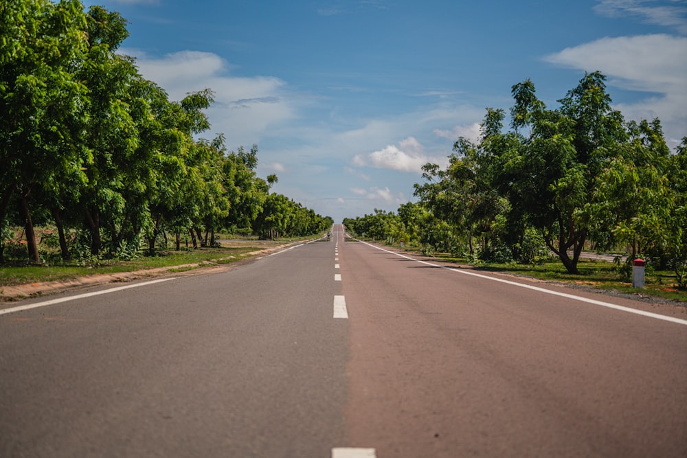 uma estrada com árvores ao lado