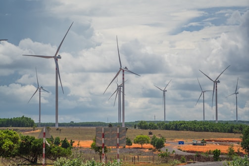 a group of wind turbines with Albany Wind Farm in the background