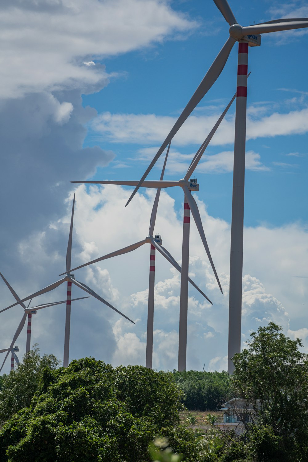 a group of wind turbines