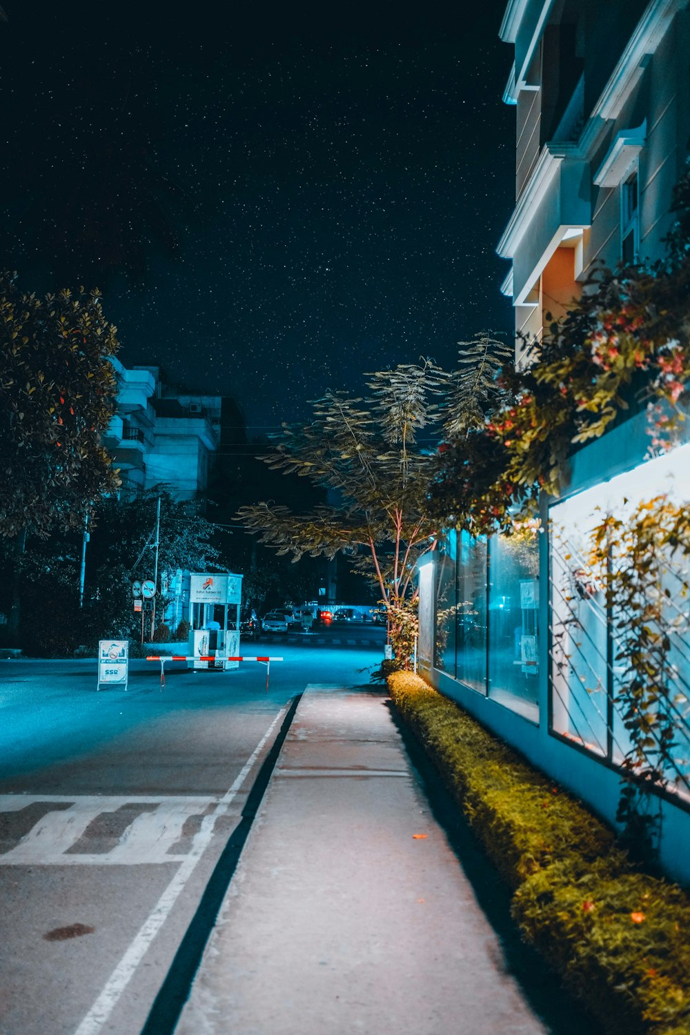 a street with buildings and trees on the side