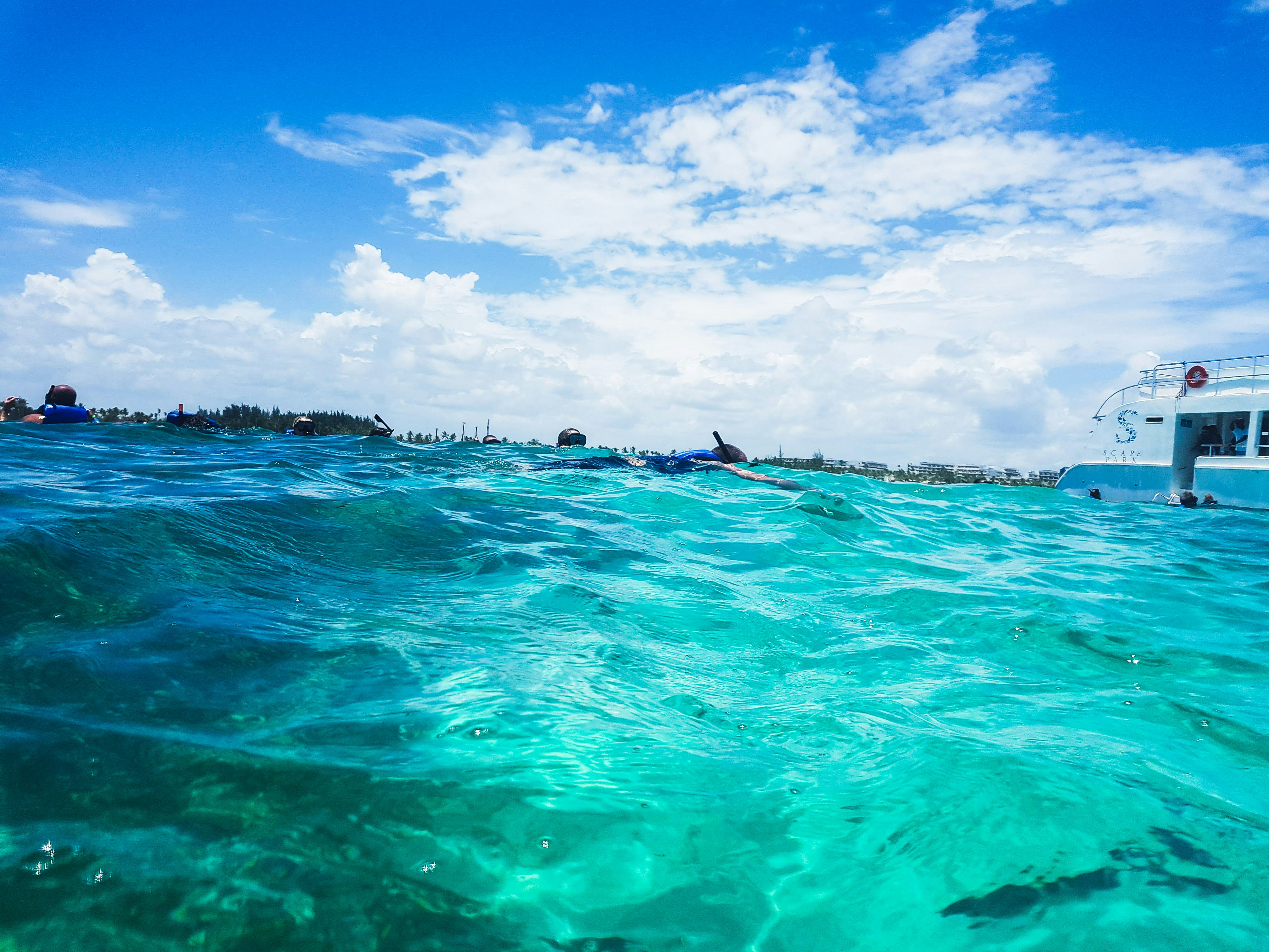 Photo by sanyabasalic