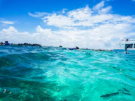 a group of boats in the water