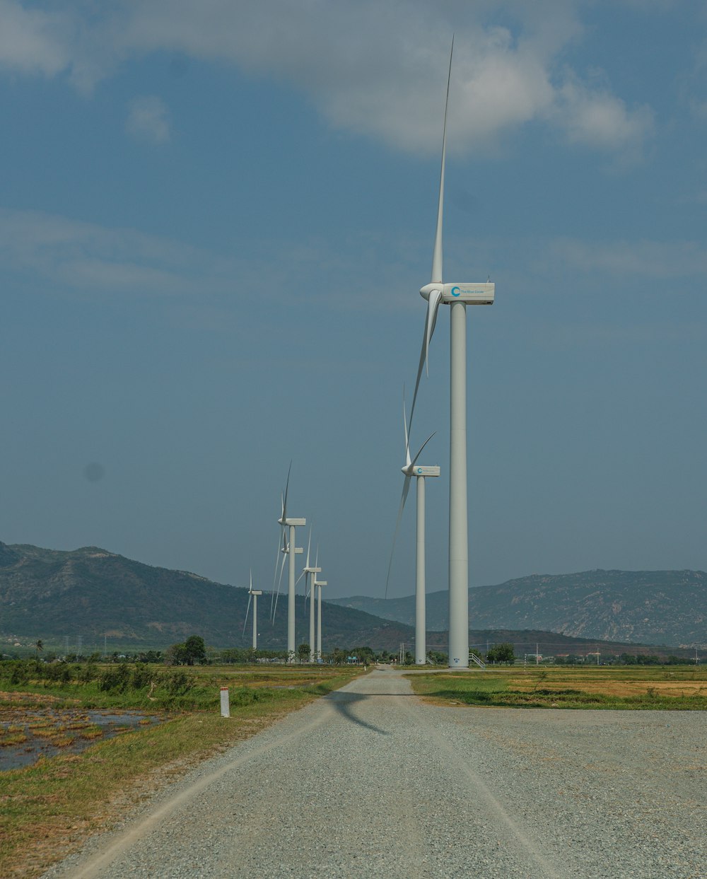 a road with windmills on the side