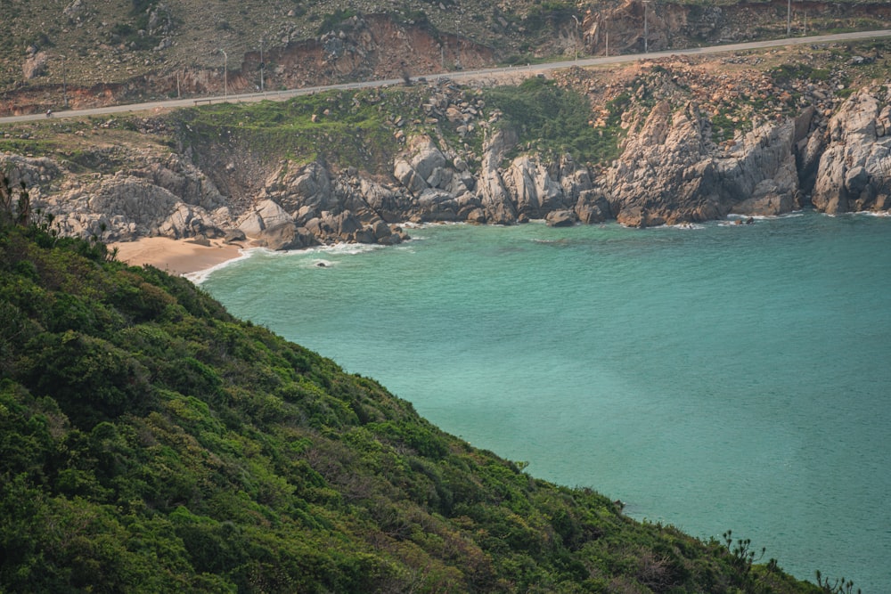 a beach with trees and rocks