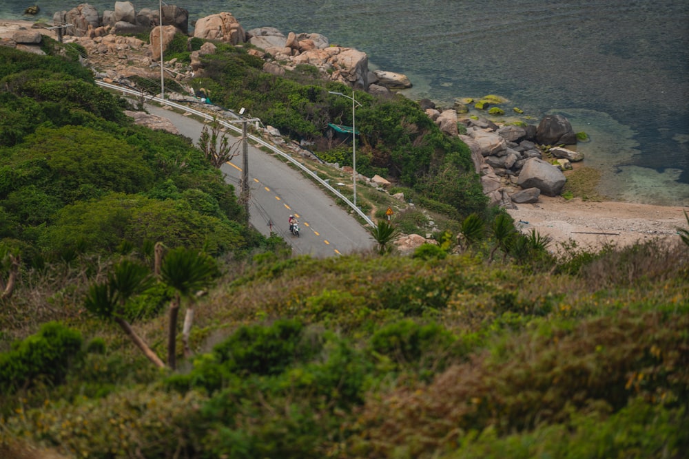 a road with a body of water and trees on the side