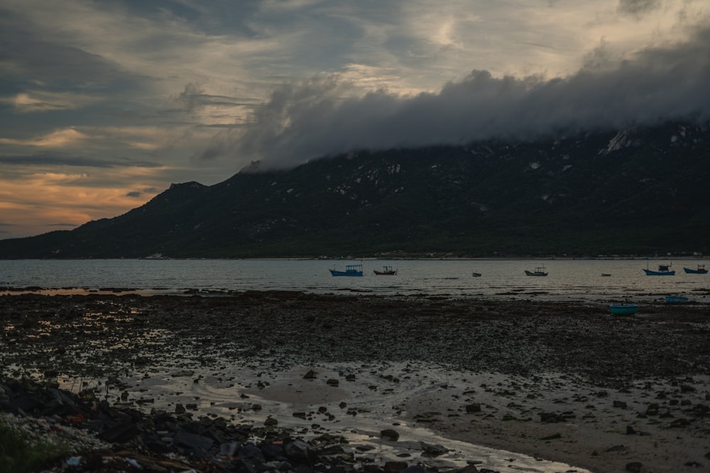 boats on the beach