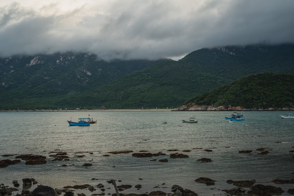 boats on the water