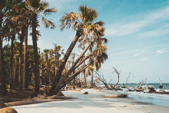 Isle of Palms, South Carolina