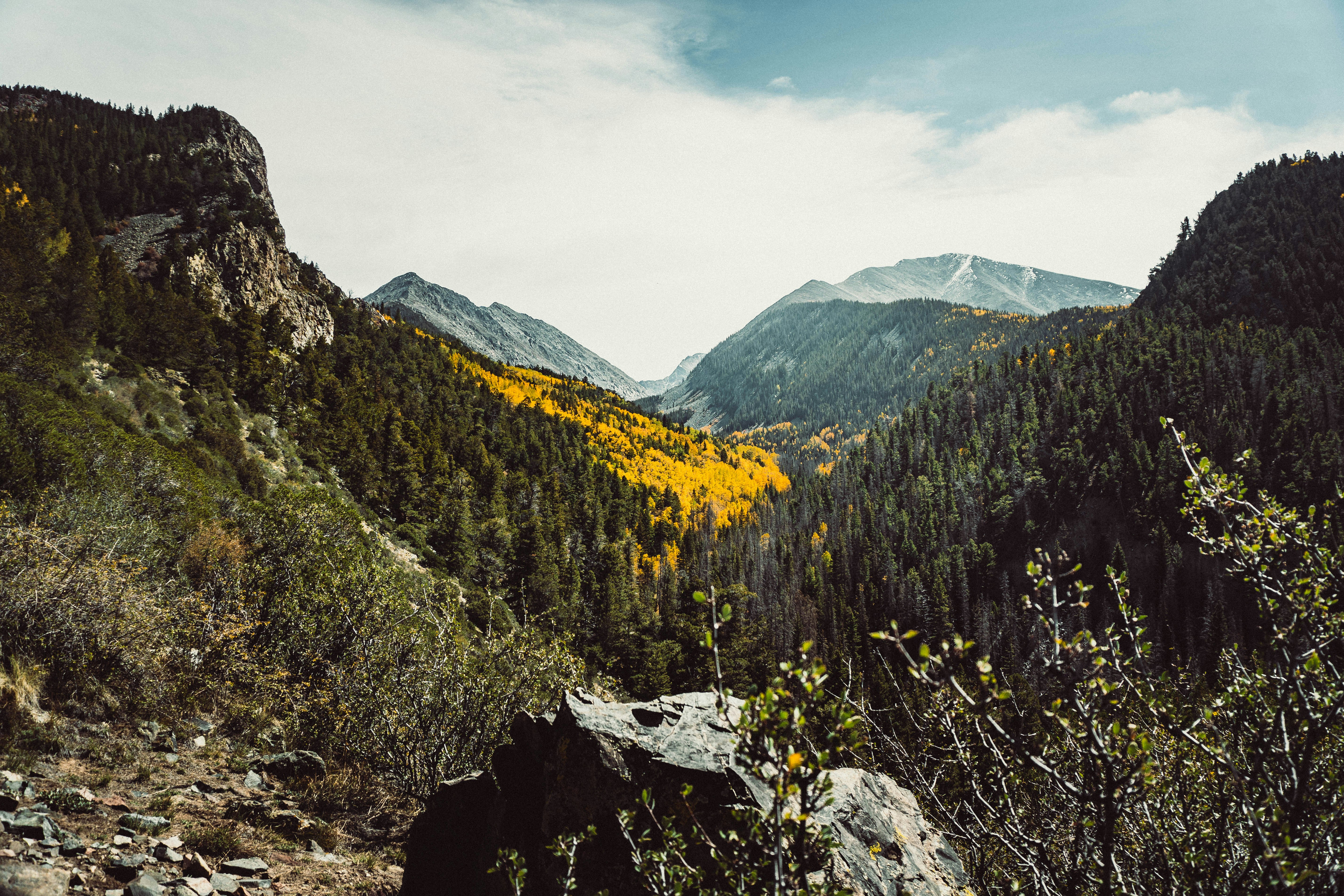 Photo by memory_terra